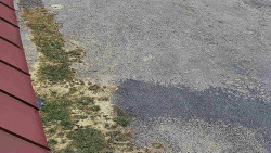 Nástup na běžecké tratě