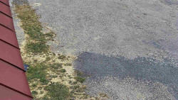 Nástup na běžecké tratě