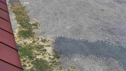 Nástup na běžecké tratě