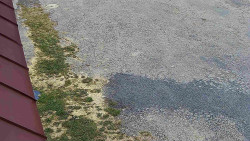 Nástup na běžecké tratě