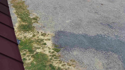 Nástup na běžecké tratě