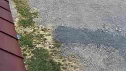 Nástup na běžecké tratě