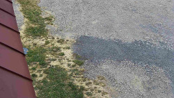 Nástup na běžecké tratě