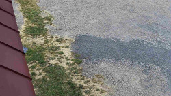 Nástup na běžecké tratě