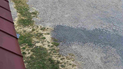 Nástup na běžecké tratě