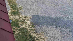 Nástup na běžecké tratě