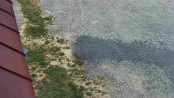 Nástup na běžecké tratě