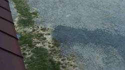 Nástup na běžecké tratě