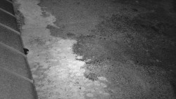 Nástup na běžecké tratě