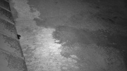 Nástup na běžecké tratě