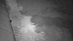 Nástup na běžecké tratě