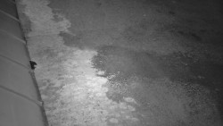 Nástup na běžecké tratě