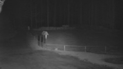 Nástup na běžecké tratě