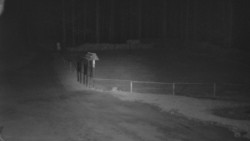 Nástup na běžecké tratě