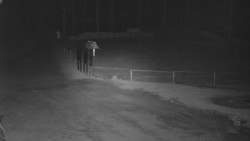 Nástup na běžecké tratě