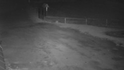 Nástup na běžecké tratě