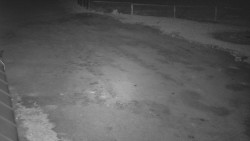 Nástup na běžecké tratě