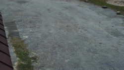 Nástup na běžecké tratě