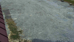 Nástup na běžecké tratě