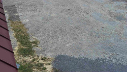 Nástup na běžecké tratě