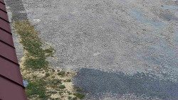 Nástup na běžecké tratě