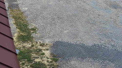 Nástup na běžecké tratě