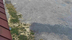 Nástup na běžecké tratě