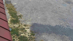 Nástup na běžecké tratě