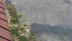 Nástup na běžecké tratě