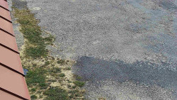 Nástup na běžecké tratě