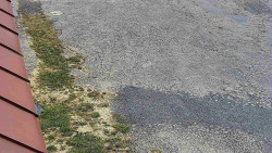 Nástup na běžecké tratě