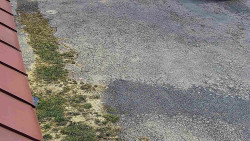 Nástup na běžecké tratě