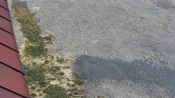 Nástup na běžecké tratě