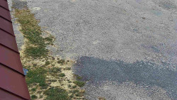 Nástup na běžecké tratě