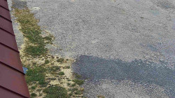 Nástup na běžecké tratě