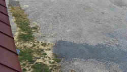 Nástup na běžecké tratě