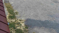 Nástup na běžecké tratě