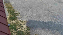 Nástup na běžecké tratě