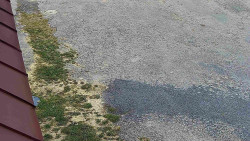 Nástup na běžecké tratě