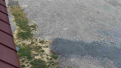 Nástup na běžecké tratě