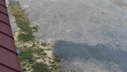 Nástup na běžecké tratě