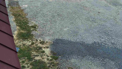 Nástup na běžecké tratě