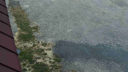 Nástup na běžecké tratě