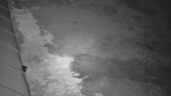 Nástup na běžecké tratě