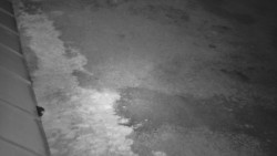 Nástup na běžecké tratě