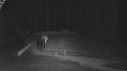 Nástup na běžecké tratě