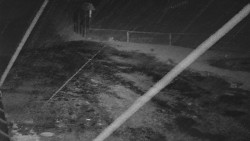 Nástup na běžecké tratě