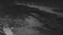 Nástup na běžecké tratě