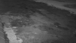 Nástup na běžecké tratě