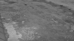 Nástup na běžecké tratě